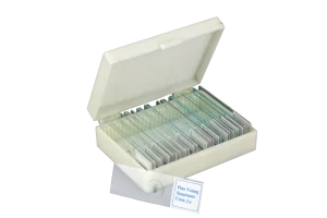 Microscope slide set, botany, 25 different