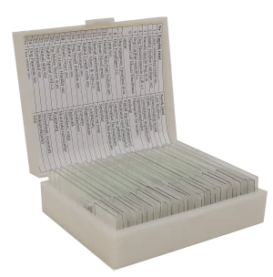 Microscope slide set, histology, 25 specimens