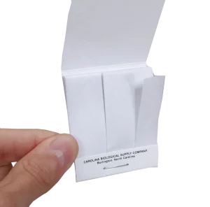 Taste test control strips, tasteless