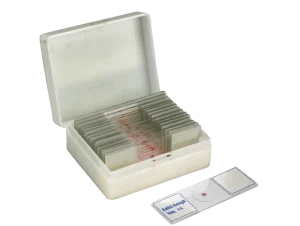 Microscope slide set, artery and vein, 25 pcs