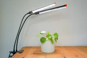 Photosynthesis lamp, LED, full spectrum, 20 W