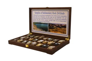 Rock collection, sedimentary, 24 pieces, 5 x 4 cm