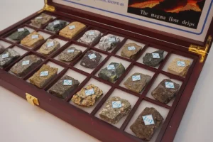 Rock collection, igneous, 24 pieces, 5 x 4 cm