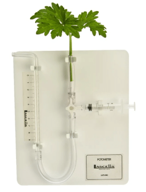 Potometer